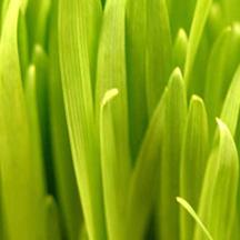 攻击网站服务器